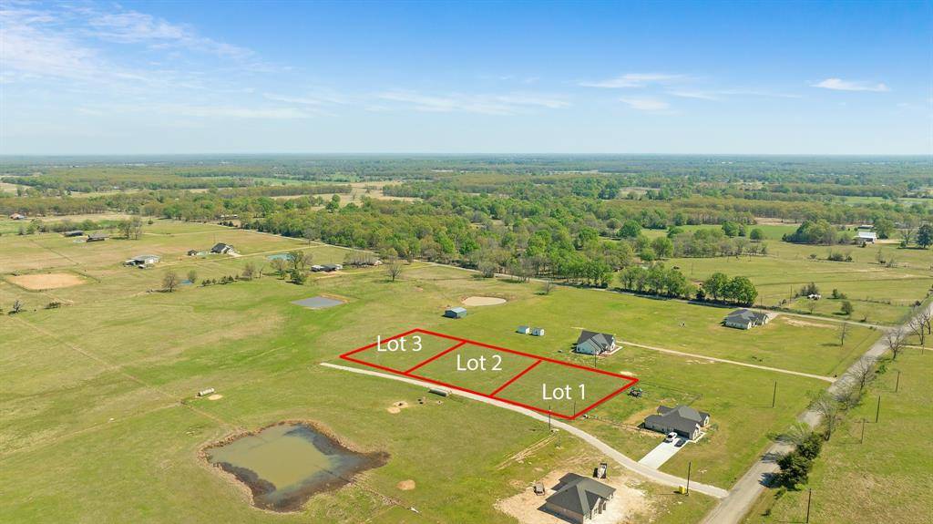 000 Lot 1 Twin Trails, Blossom, TX 75416