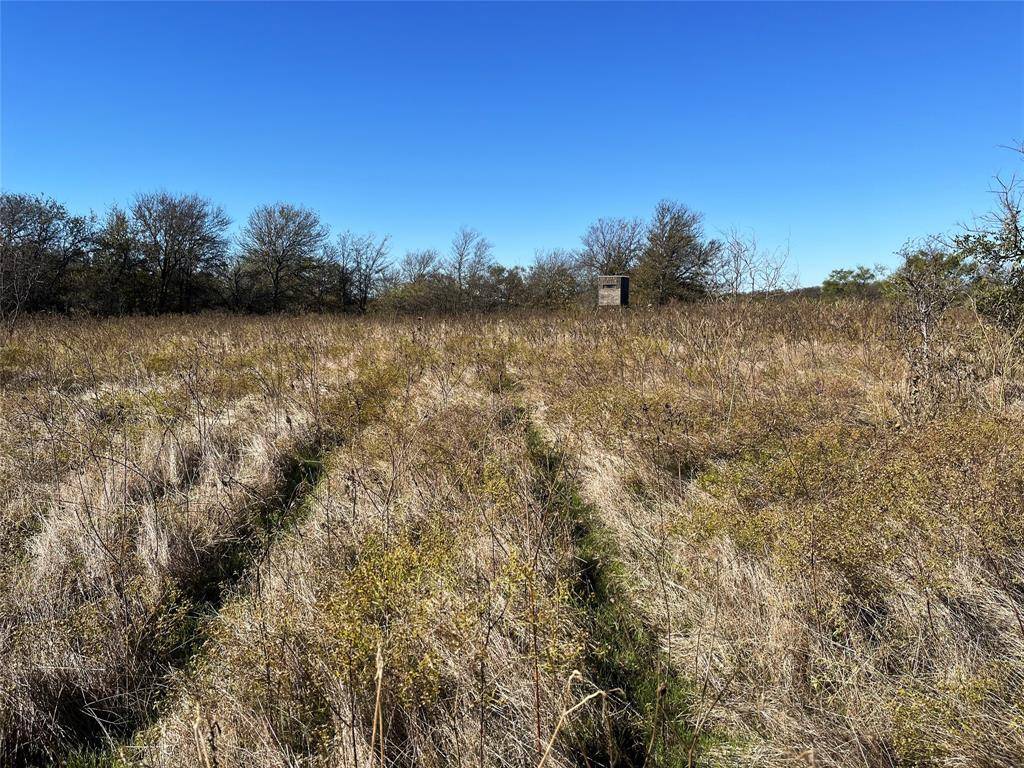 11 Old Tioga Road #22 Acres, Gunter, TX 75058