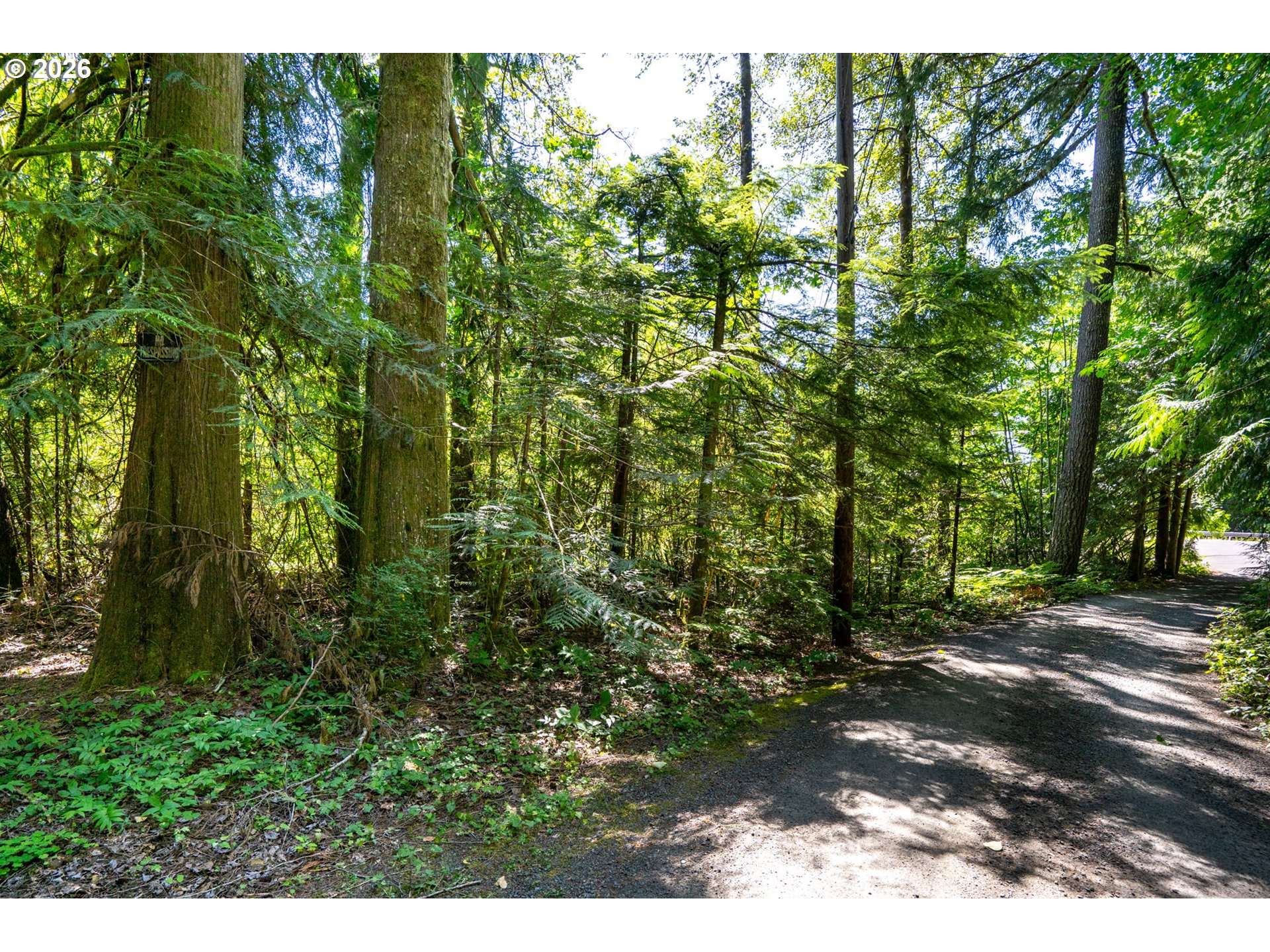 E Zig Zag River RD, Rhododendron, OR 97049