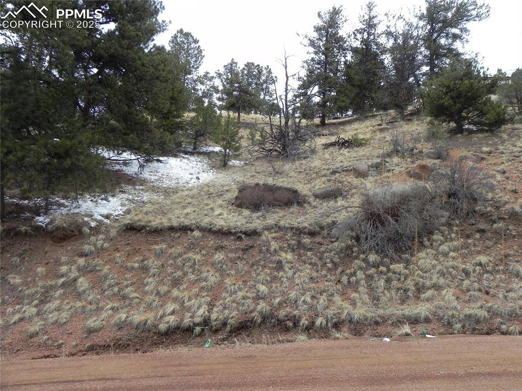 153 Idlewild DR, Cripple Creek, CO 80813
