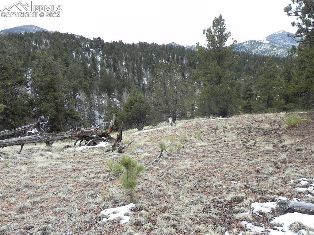 153 Idlewild DR, Cripple Creek, CO 80813