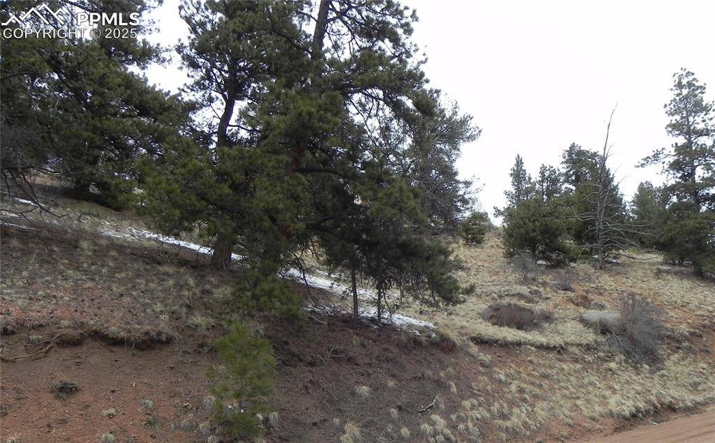 153 Idlewild DR, Cripple Creek, CO 80813