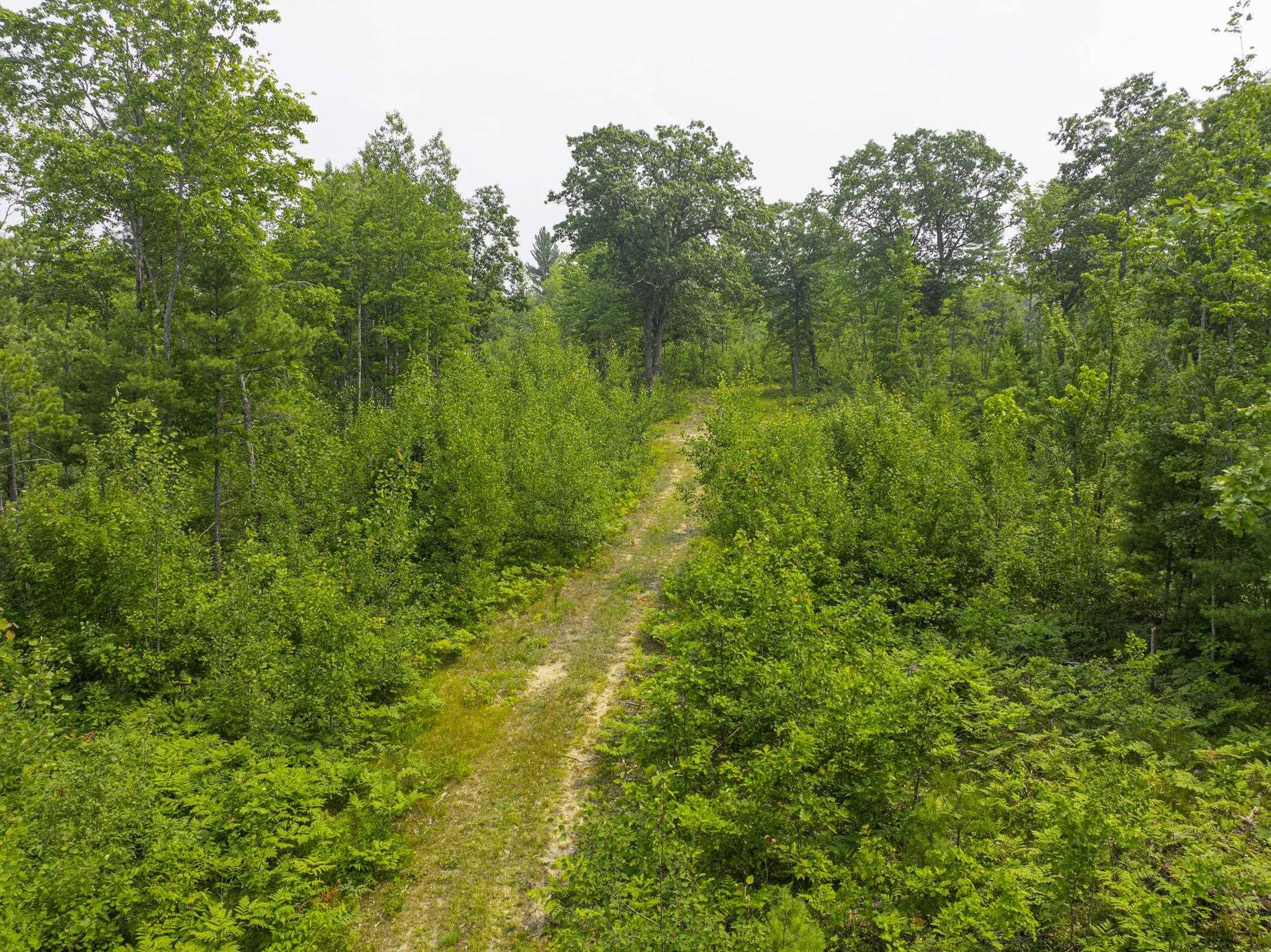 00 Shady LN, Kalkaska Twp, MI 49646