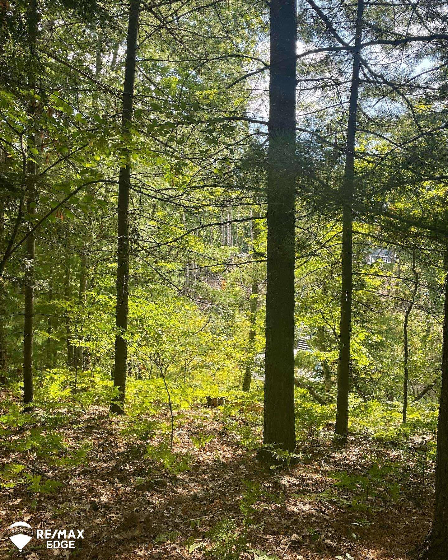 0 Eagle Nest LN, Moffatt Twp, MI 48610