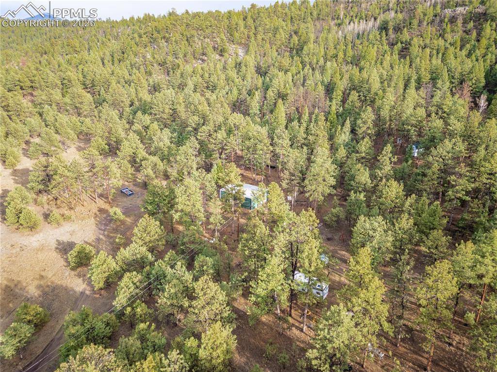 842 County Road 112, Florissant, CO 80816