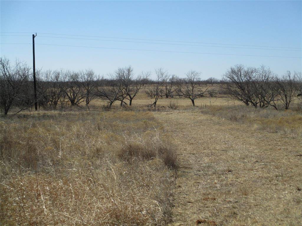 Lot 5 Old Joy Shannon, Bluegrove, TX 76352