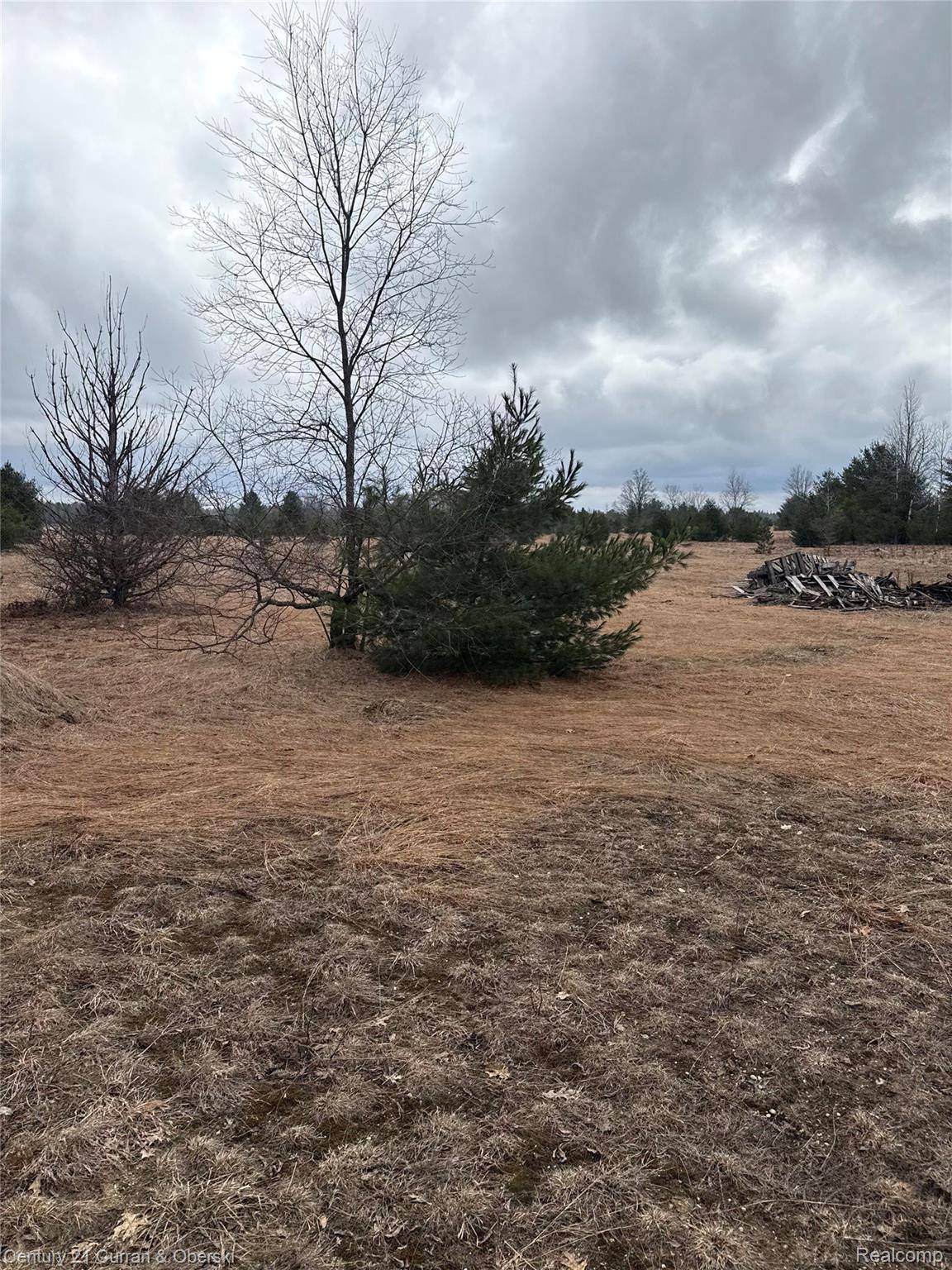 00000 Vroom Rd SW, Boardman Township, MI 49680