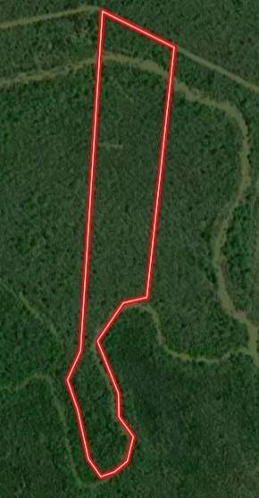 TBD CR 4630, Annona, TX 75550