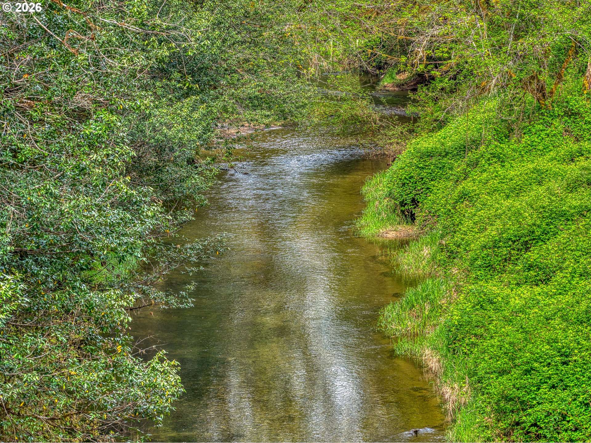 99554 LONE PINE LN, Myrtle Point, OR 97458