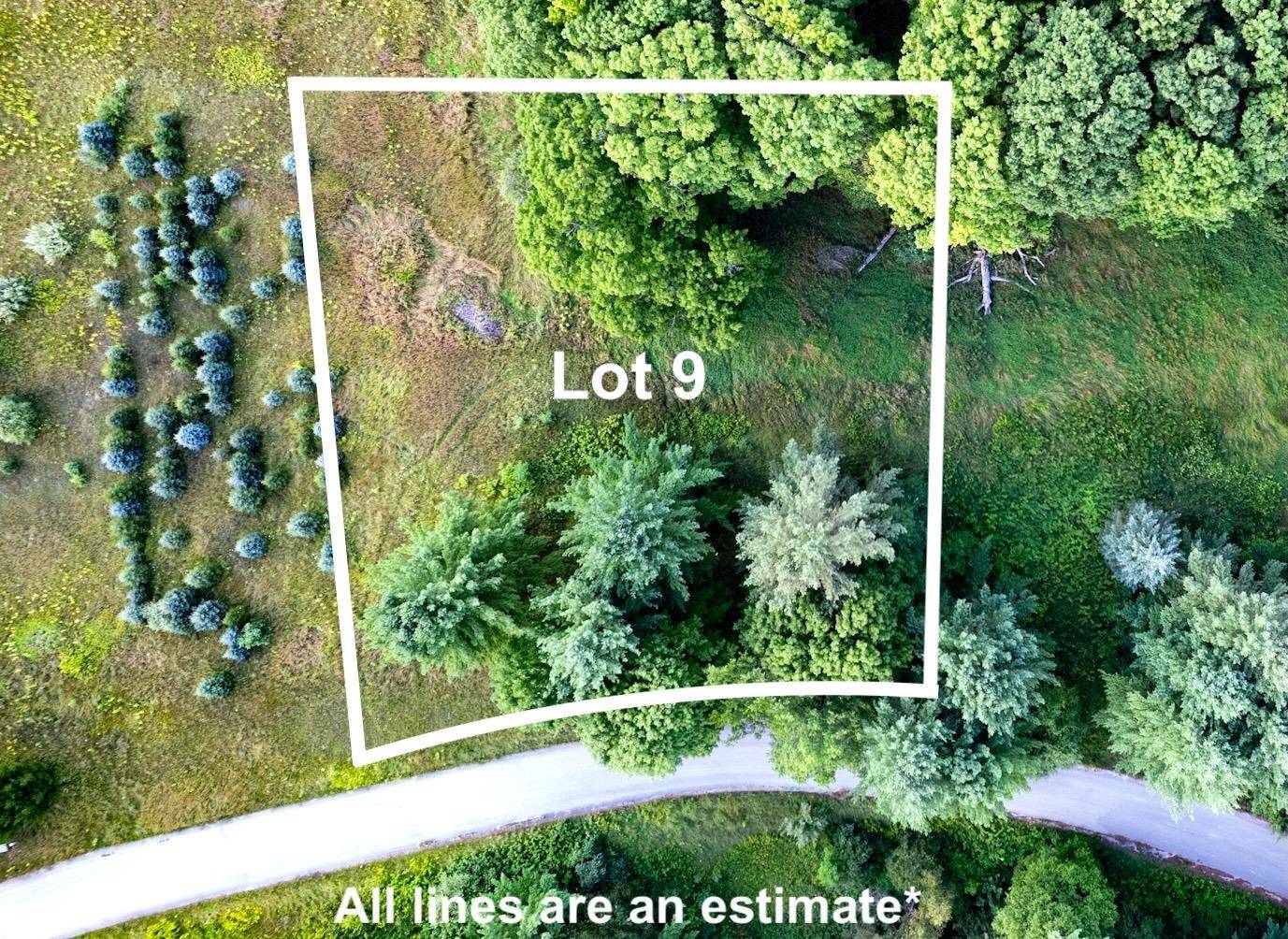 Lot #9 Kadi LN, Almira Twp, MI 49650