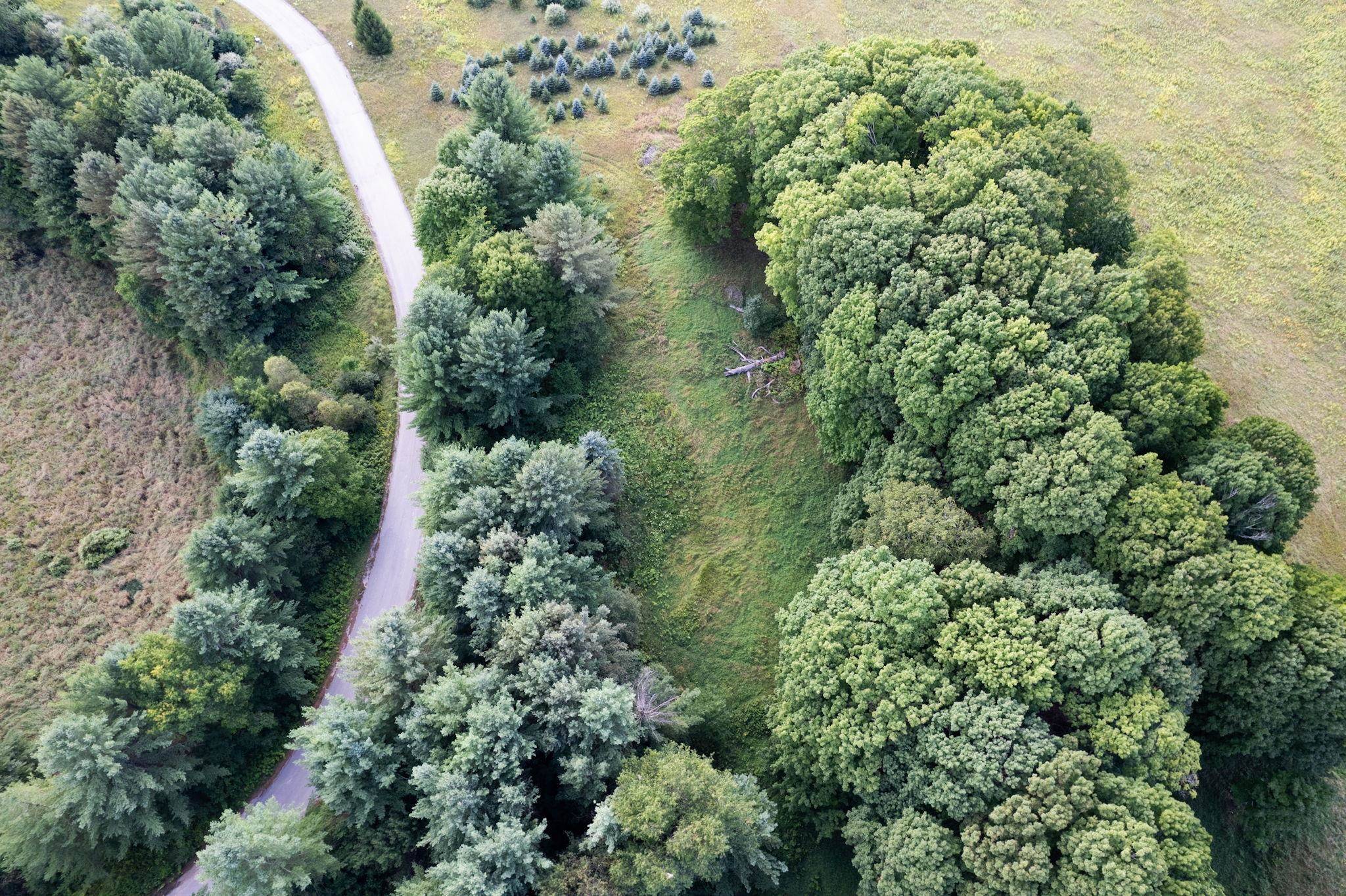 Lot #9 Kadi LN, Almira Twp, MI 49650