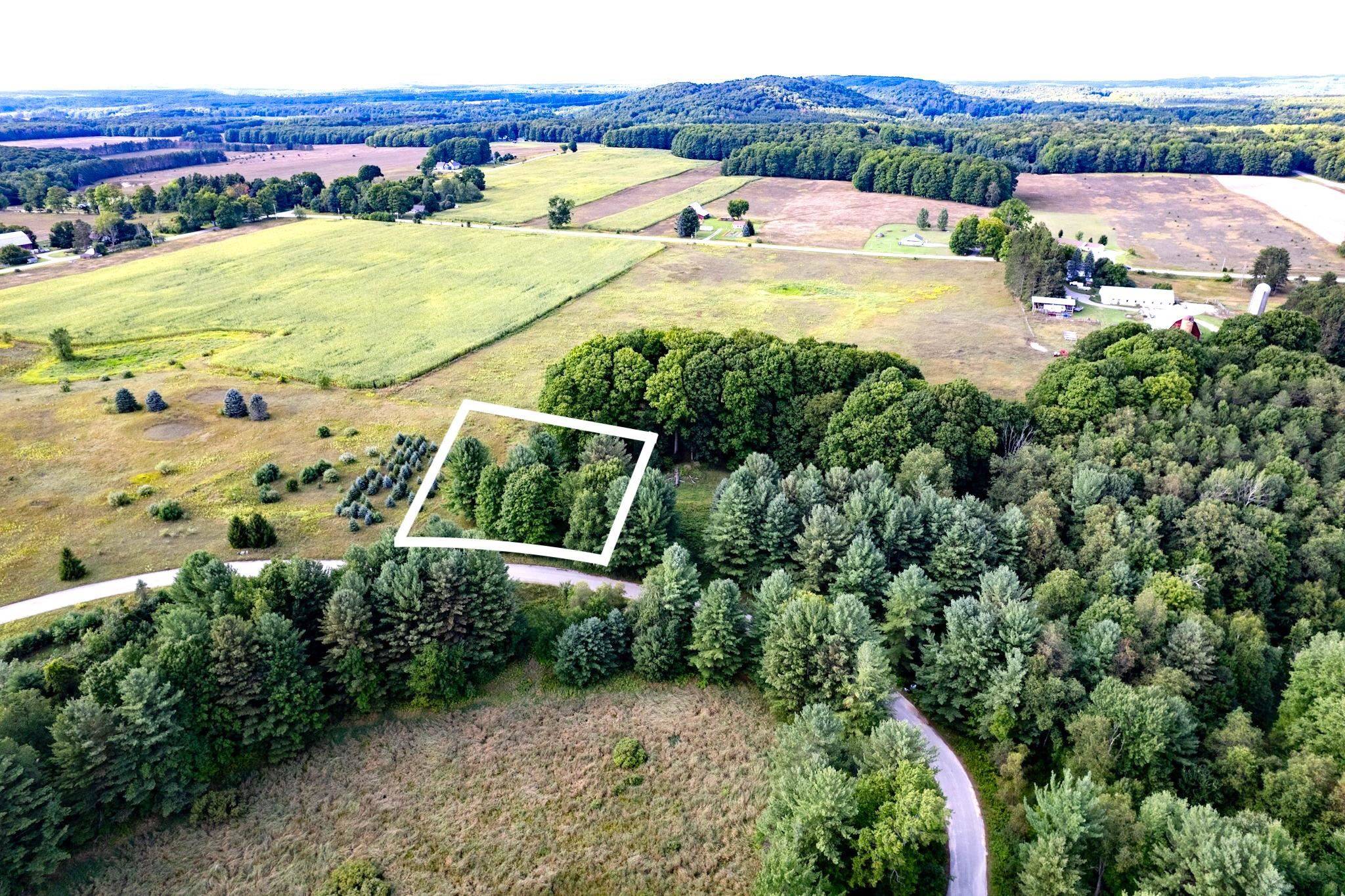 Lot #9 Kadi LN, Almira Twp, MI 49650