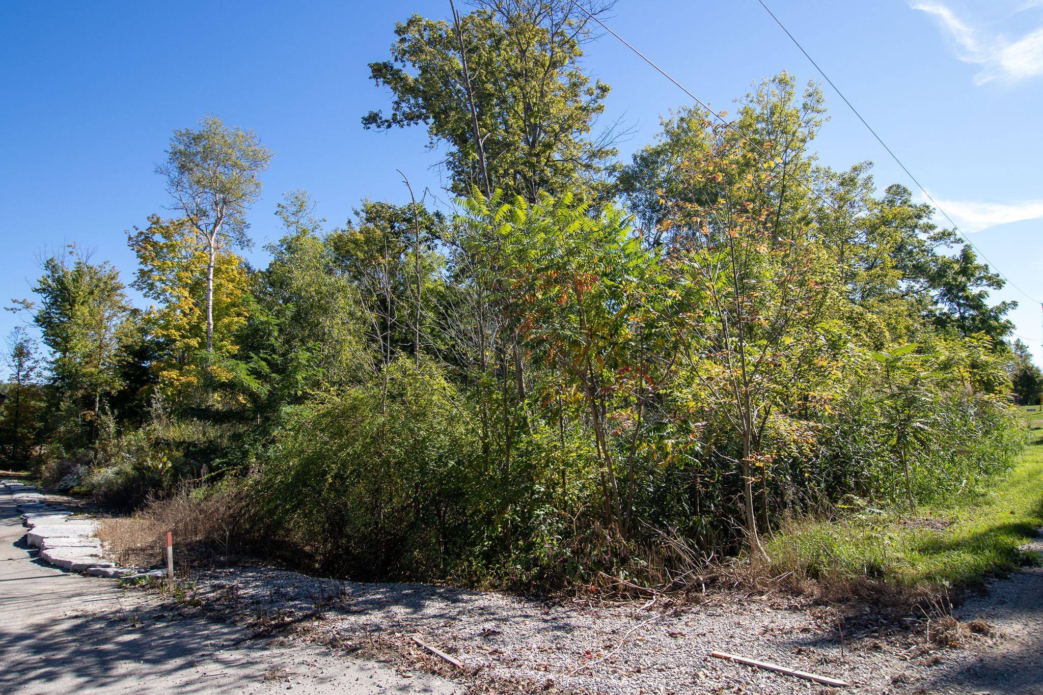 22480 Troops RD, Strathroy-caradoc, ON N0L 1W0