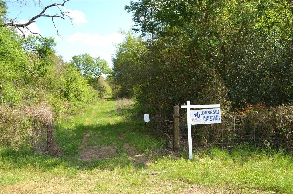 977 E, Leona, TX 75850