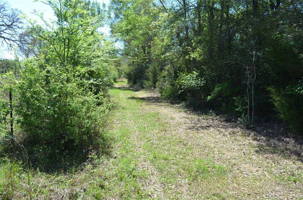 977 E, Leona, TX 75850