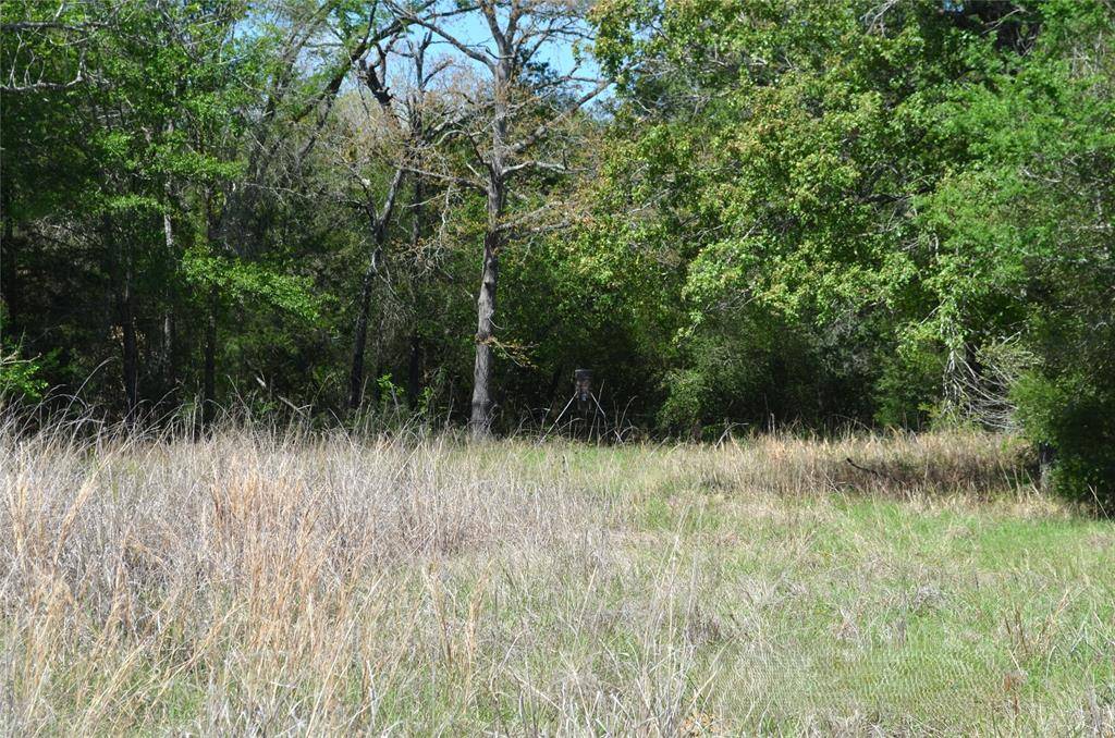 977 E, Leona, TX 75850