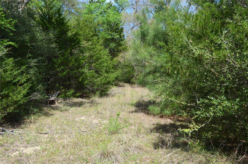 977 E, Leona, TX 75850