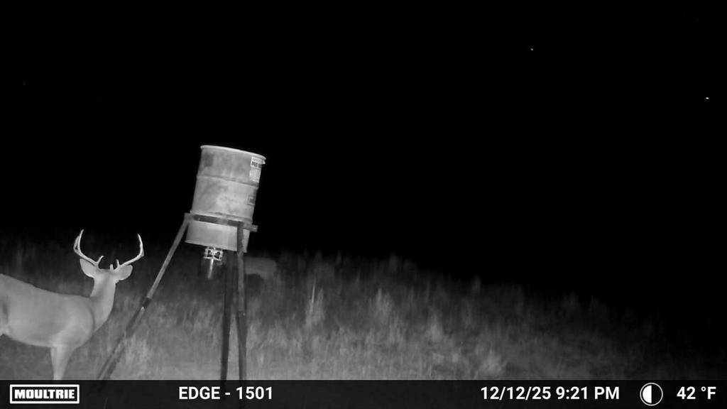 7215 Highway 569, Cisco, TX 76437