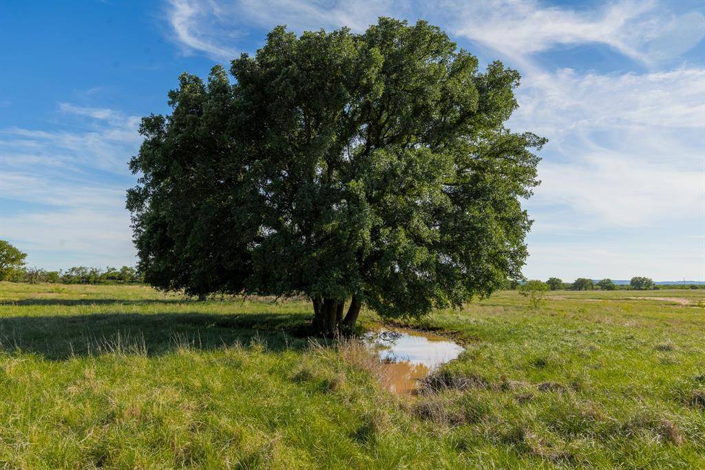 TBD C.R. 132, Coleman, TX 76834