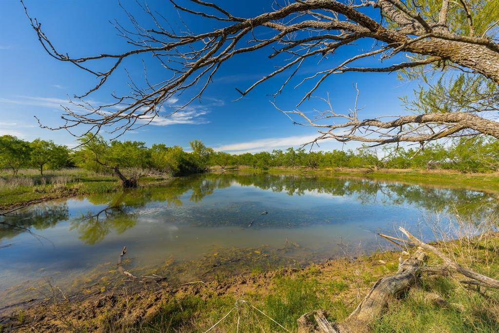 TBD C.R. 132, Coleman, TX 76834