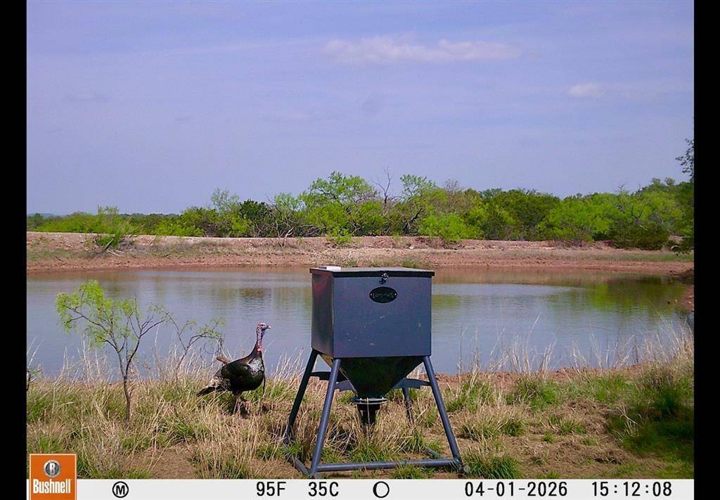 TBD C.R. 132, Coleman, TX 76834