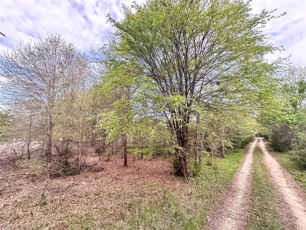 0 CR 3508, Murchison, TX 75756
