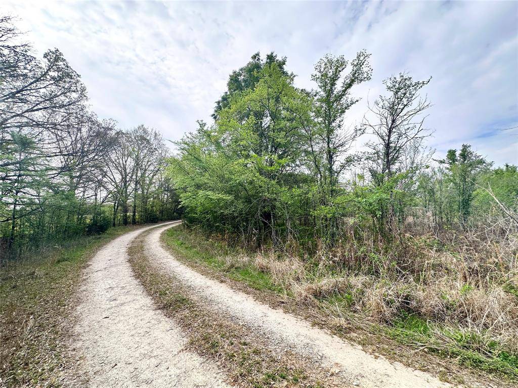 0 CR 3508, Murchison, TX 75756