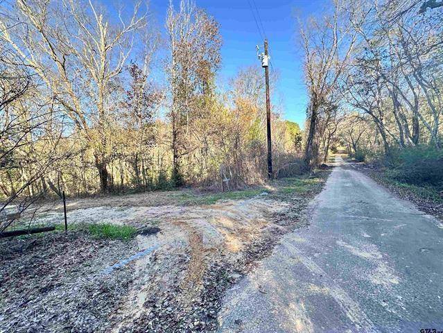 0 CR 4302, Larue, TX 75770