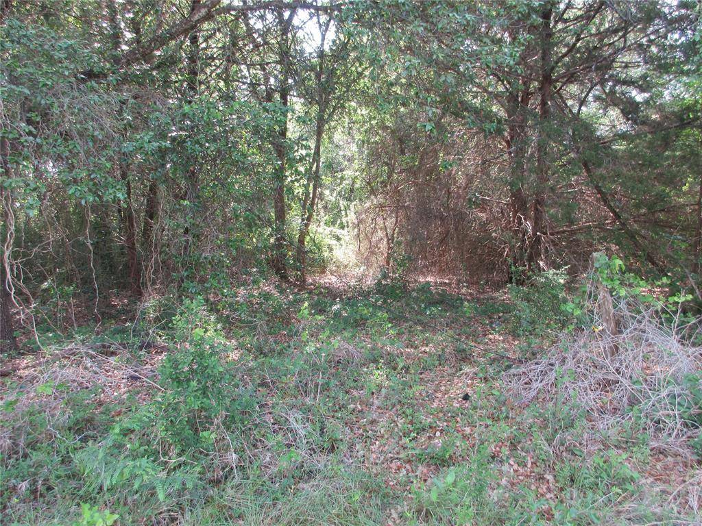 00 CR 106, Marlin, TX 76661