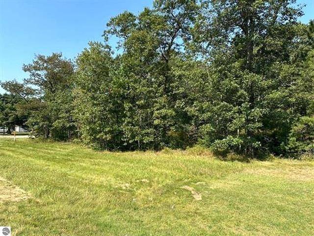 00 Wintergreen ST, Baldwin Twp, MI 48730