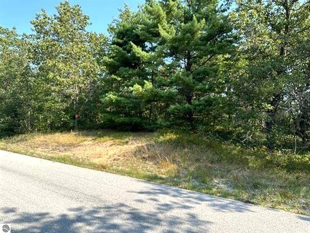 00 Wintergreen ST, Baldwin Twp, MI 48730