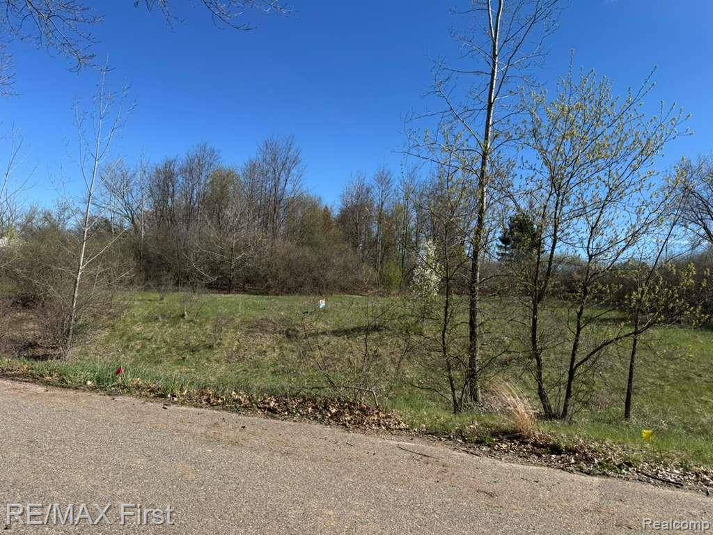 000 Unit 3 Big Sky Drive, Groveland Township, MI 48442