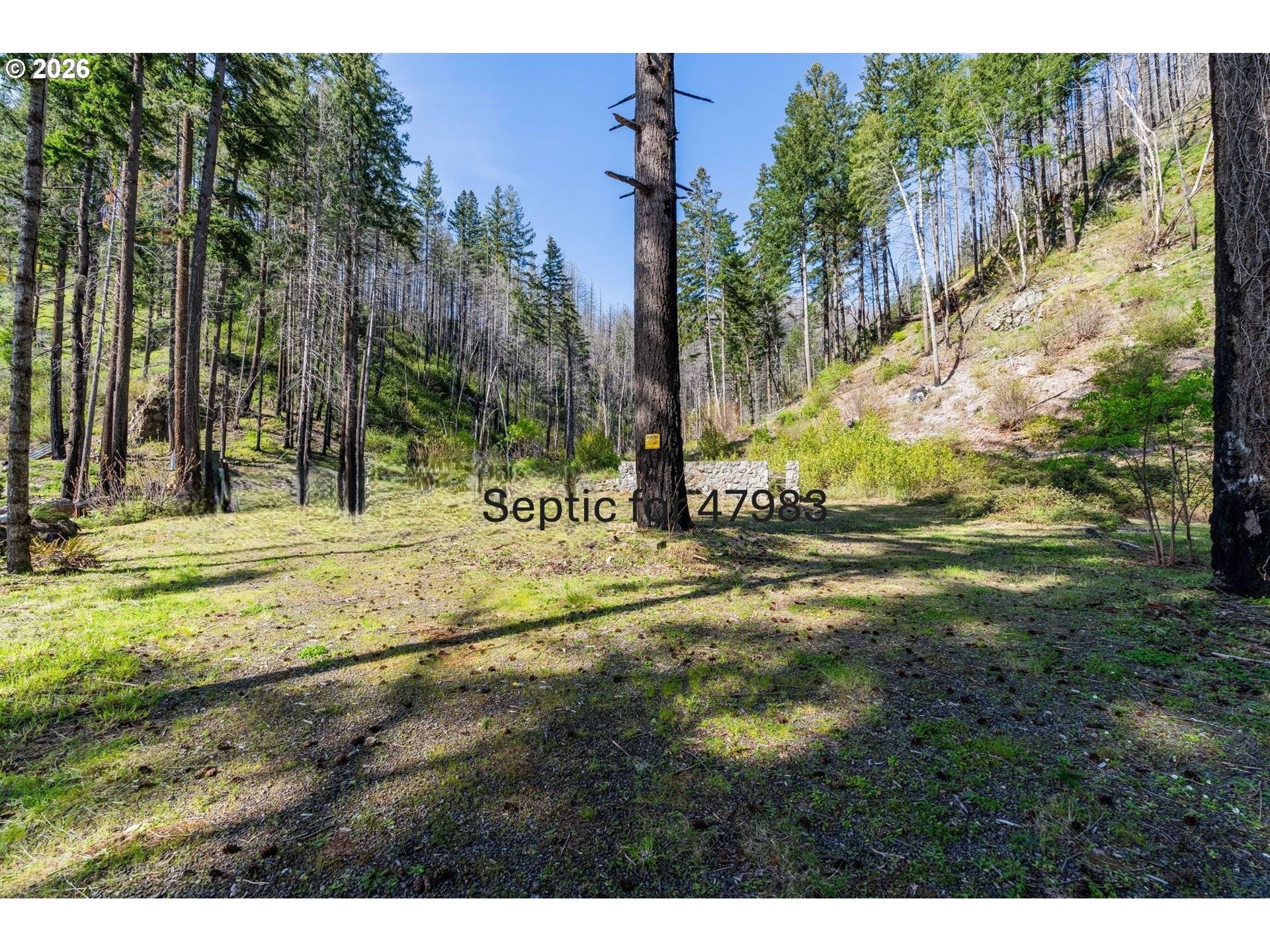 47983 MCKENZIE HWY, Vida, OR 97488