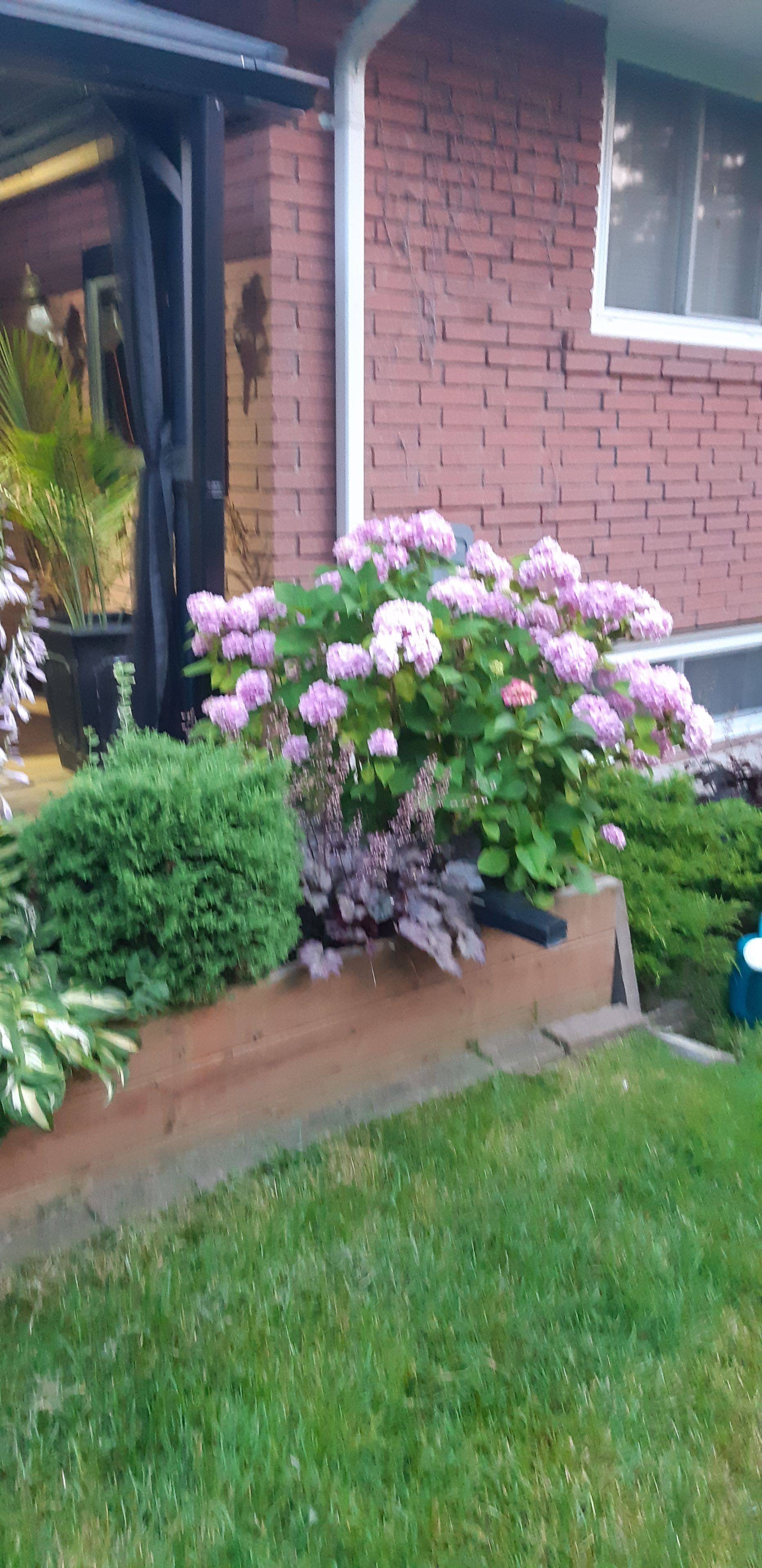 1184 Kingston Rd RD N, Pickering, ON L1V 1B4