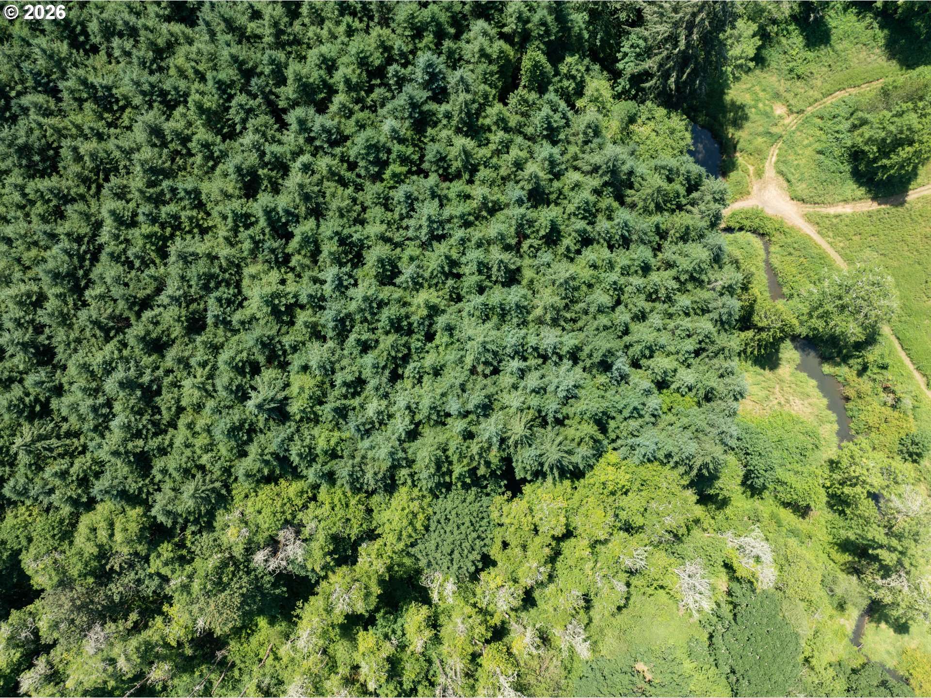 2511 S PARKWAY AVE, Battle Ground, WA 98604