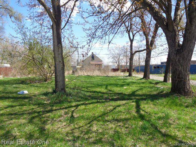 11808 SAINT LOUIS ST, Hamtramck, MI 48212