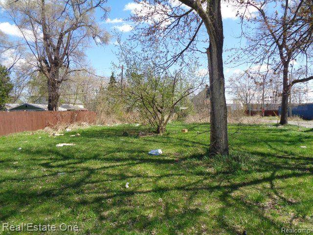 11808 SAINT LOUIS ST, Hamtramck, MI 48212