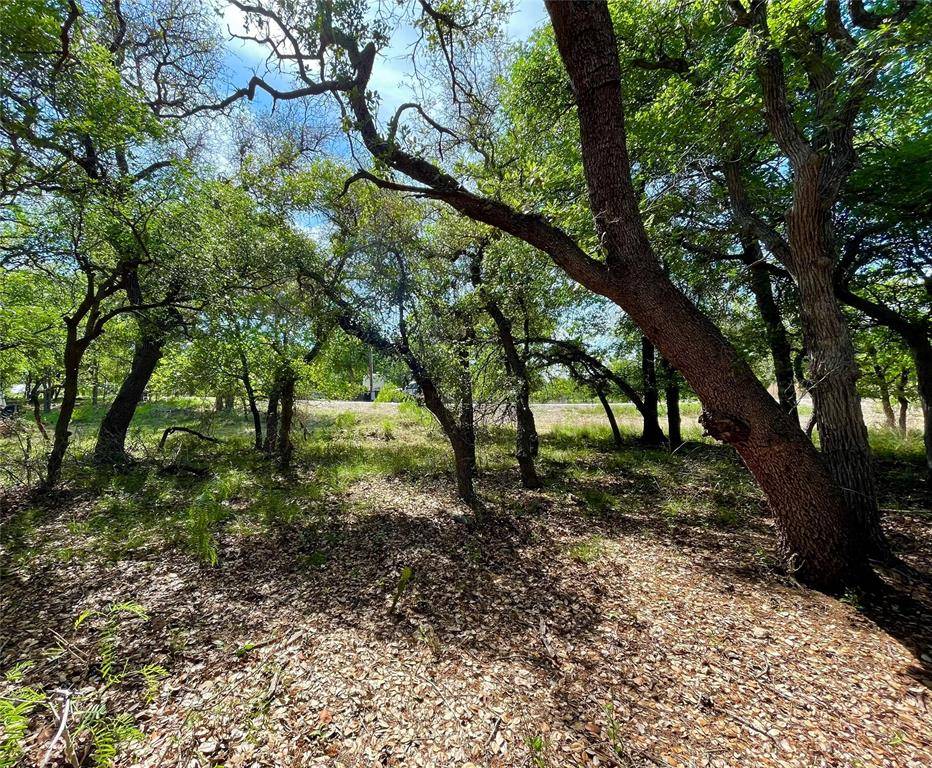 TBD (Lots 785, 786) Oak Point Drive, May, TX 76857