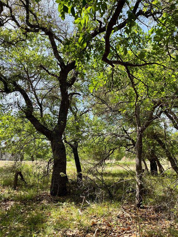 TBD (Lots 785, 786) Oak Point Drive, May, TX 76857
