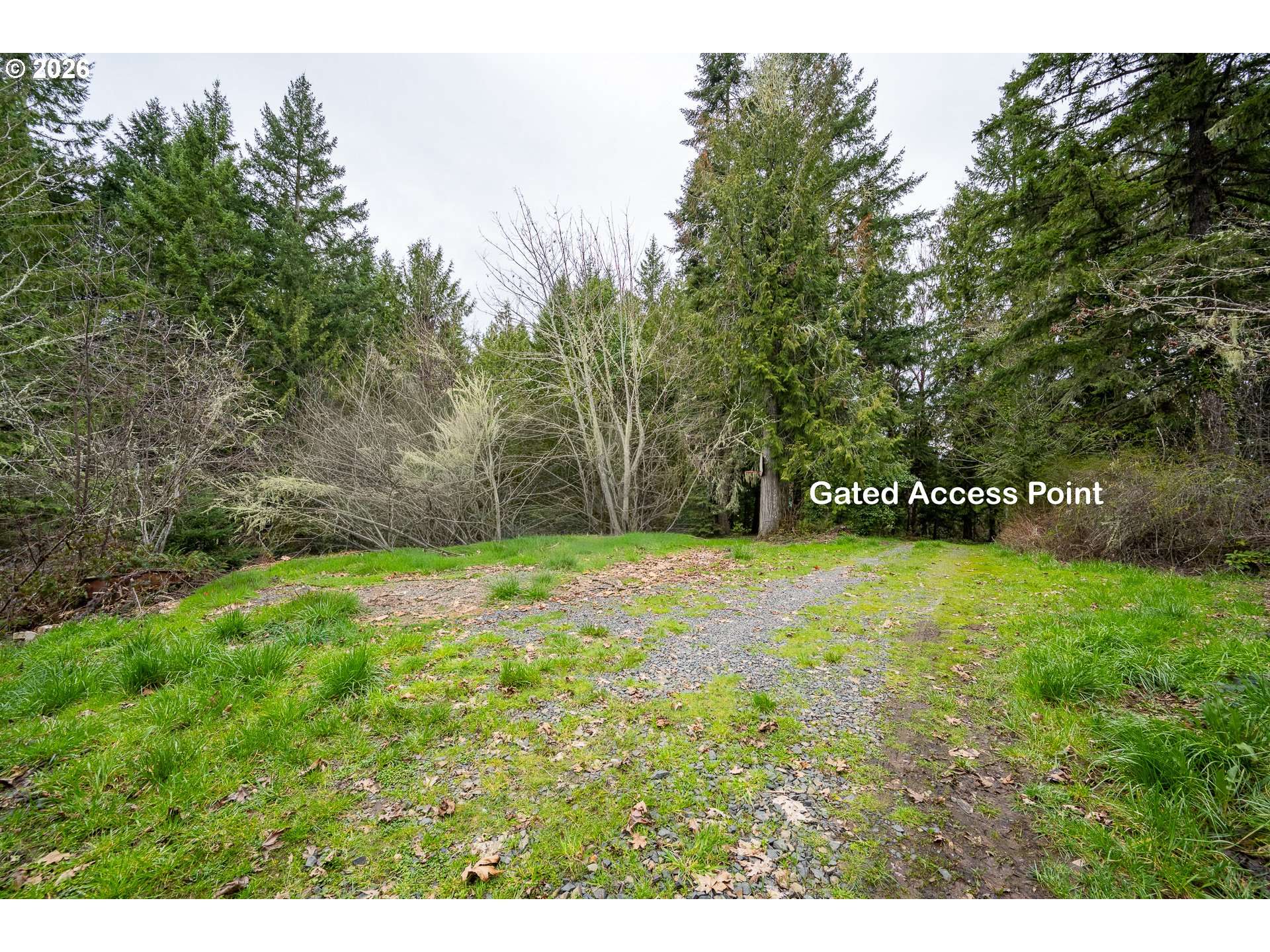83715 PENINSULA RD, Fall Creek, OR 97438