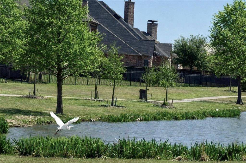 1306 Cypress Creek Way, Celina, TX 75009