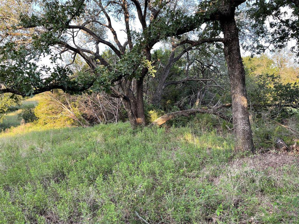 Lot 13 CR 127, Carlton, TX 76436