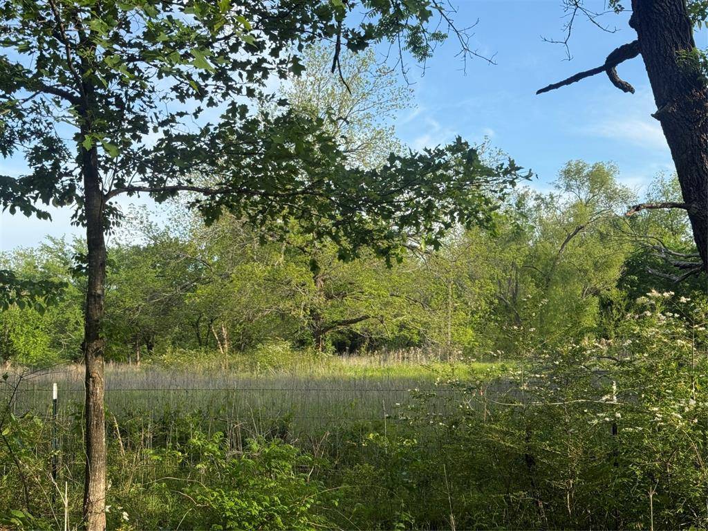 TBD MAIN Street, Blossom, TX 75416