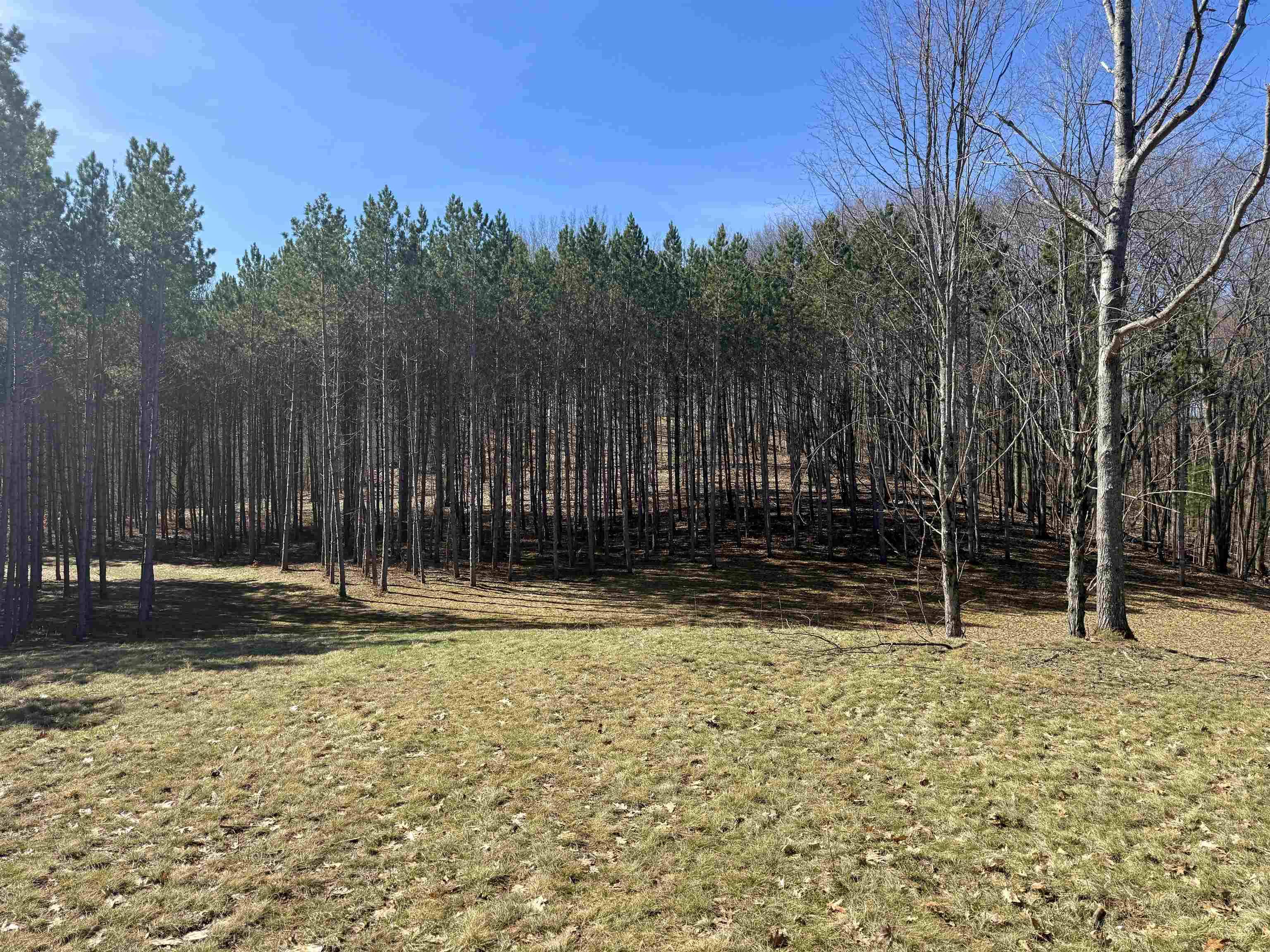 3041 Dockery Road, Nw, Kalkaska Twp, MI 49690