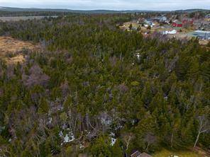 55 Garden Road, Torbay, NL A1K 1H5