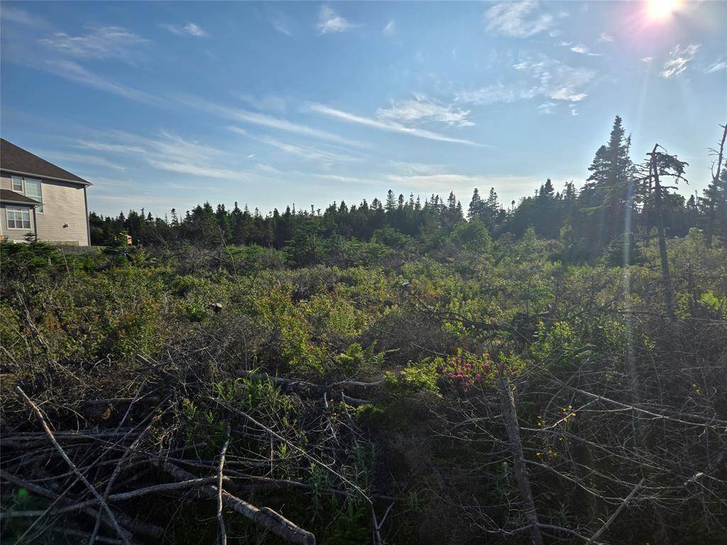 Lot 5 Edgewater Lane, Torbay, NL A1K 0G9