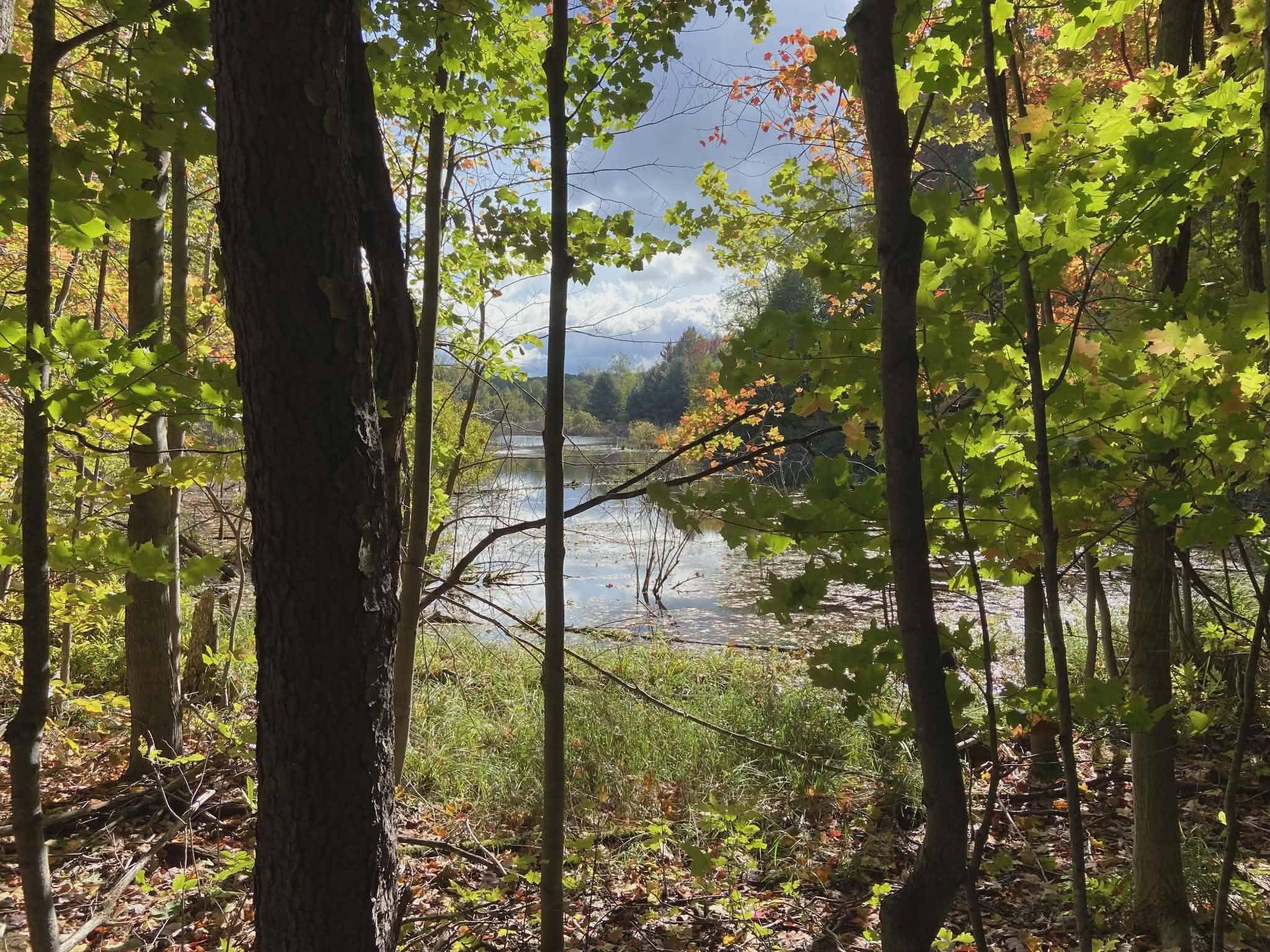 20047 Davis Lake RD, Almira Twp, MI 49684