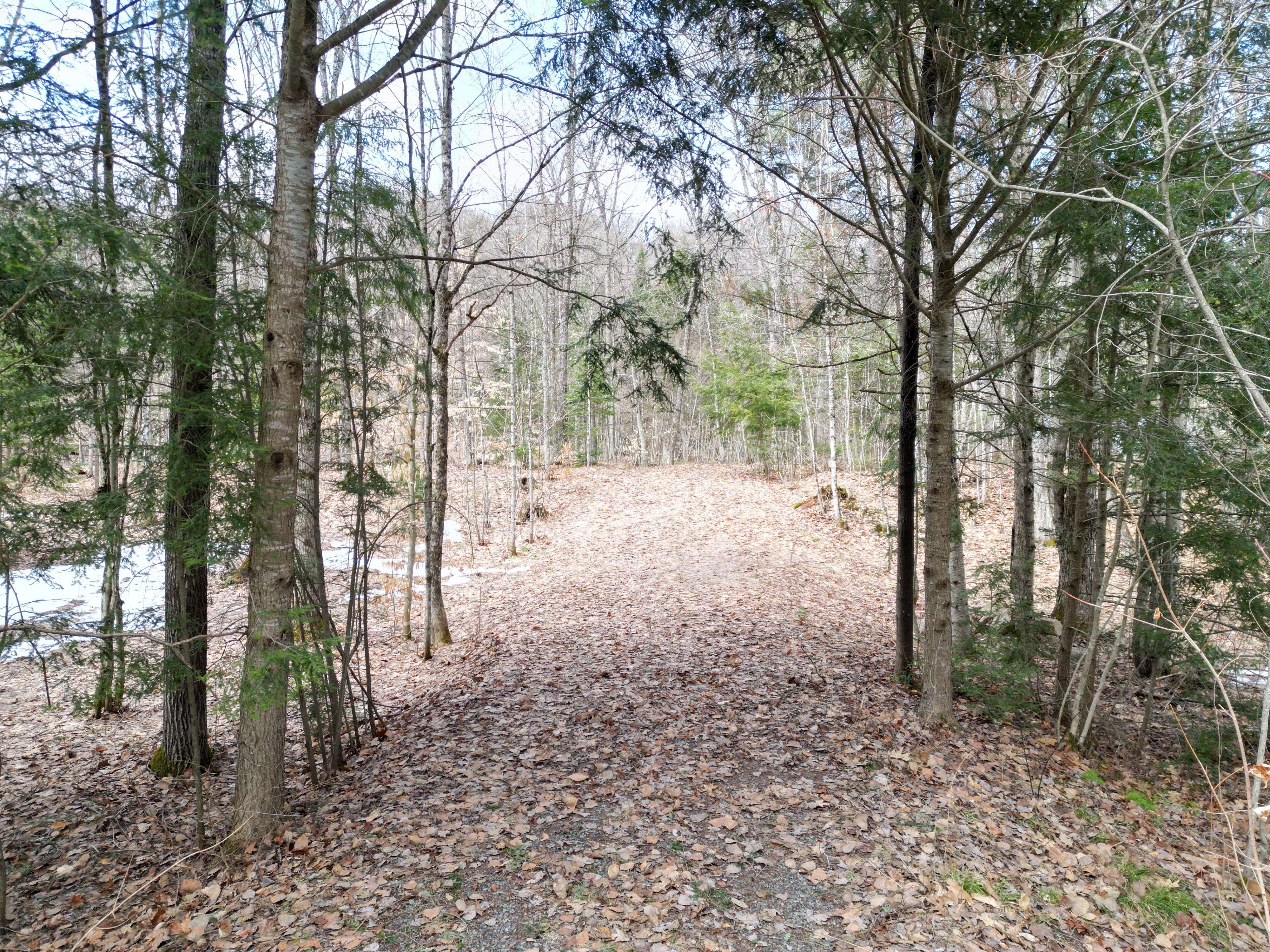 1231 Big Hawk Lake RD, Algonquin Highlands, ON K0M 1J2