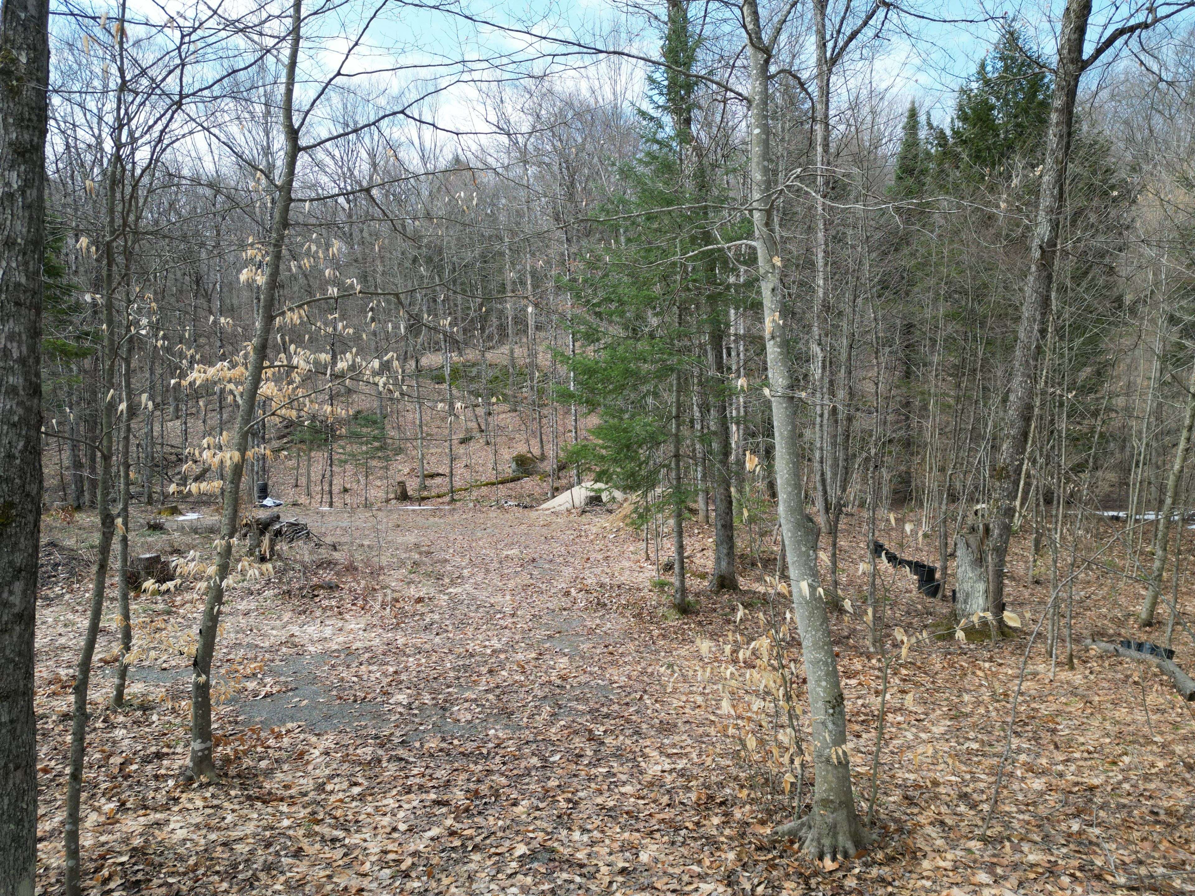 1231 Big Hawk Lake RD, Algonquin Highlands, ON K0M 1J2