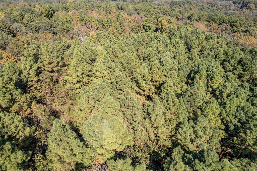 0 CR 359, Winona, TX 75792
